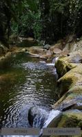 Hilly Pond Live Wallpaper الملصق