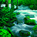 Hilly River Live Wallpaper APK