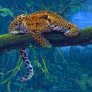 Jungle Leopard Live Wallpaper APK