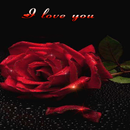 Lovely Red Rose LWP APK