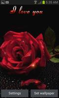 Lovely Red Rose LWP Cartaz