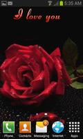 Lovely Red Rose LWP imagem de tela 1