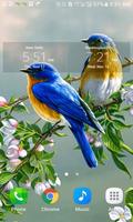 برنامه‌نما Loving Bird Live Wallpaper عکس از صفحه