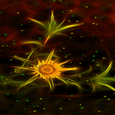 Magical Sunflower LWP APK