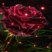 ”Magical Rose Live Wallpaper