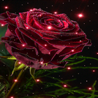 Icona Magical Rose Live Wallpaper