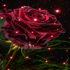 Magical Rose Live Wallpaper icono