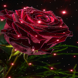 Magical Rose Live Wallpaper icône