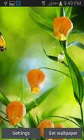 Magic Flowers Butterfly LWP poster