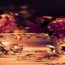 Morning Butterflies LWP APK