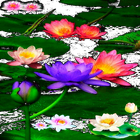 Multicolor Lotus LWP-icoon