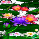 Multicolor Lotus LWP icon