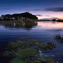 Nature Evening Lake LWP APK