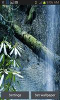 Nature Forest Waterfall LWP poster