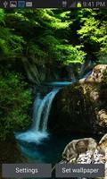 Nature Forest Fall LWP poster