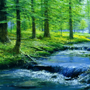 Nature Forest River LWP APK