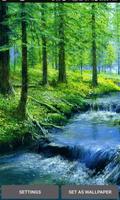 Nature Forest River LWP poster