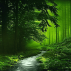 Nature Green Forest LWP иконка