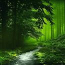 Nature Green Forest LWP APK