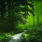 Nature Green Forest LWP icon