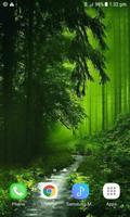 Nature Green Forest LWP скриншот 1