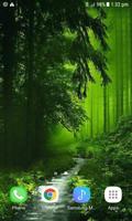 Nature Green Forest LWP screenshot 1