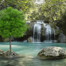 Nature Lake Fall LWP APK