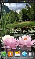برنامه‌نما Nature Lotus Flower LWP عکس از صفحه
