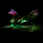 Neon Cat Live Wallpaper icône
