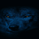 Night Wolf Live Wallpaper APK
