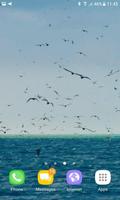Ocean Birds Live Wallpaper 截圖 2
