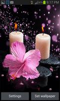 Pink Flower Candle LWP Affiche