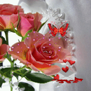 Pink Rose Butterfly LWP APK