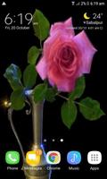 Pink Rose Pot Live Wallpaper スクリーンショット 1