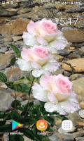 Pink White Roses LWP screenshot 2