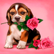 ”Puppy Rose Live Wallpaper