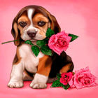 Puppy Rose Live Wallpaper icône