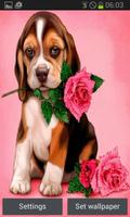 Puppy Rose Live Wallpaper ポスター