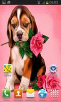 Puppy Rose Live Wallpaper 스크린샷 1