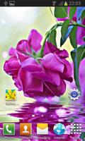 Purple Rose Swining LWP poster