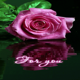 Purple Rose Reflection LWP icon