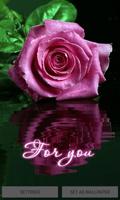 Purple Rose Reflection LWP poster