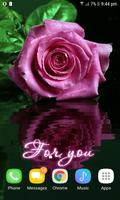 Purple Rose Reflection LWP screenshot 1