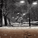 Rainy Night LWP APK