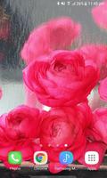 Rainy Pink Roses LWP تصوير الشاشة 2