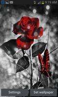 Red Black Butterfly LWP poster