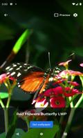 Red Flowers Butterfly LWP Affiche