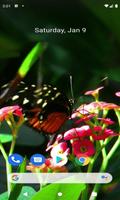 Red Flowers Butterfly LWP 스크린샷 2