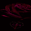 Red Love Rose LWP