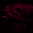 Red Love Rose LWP APK